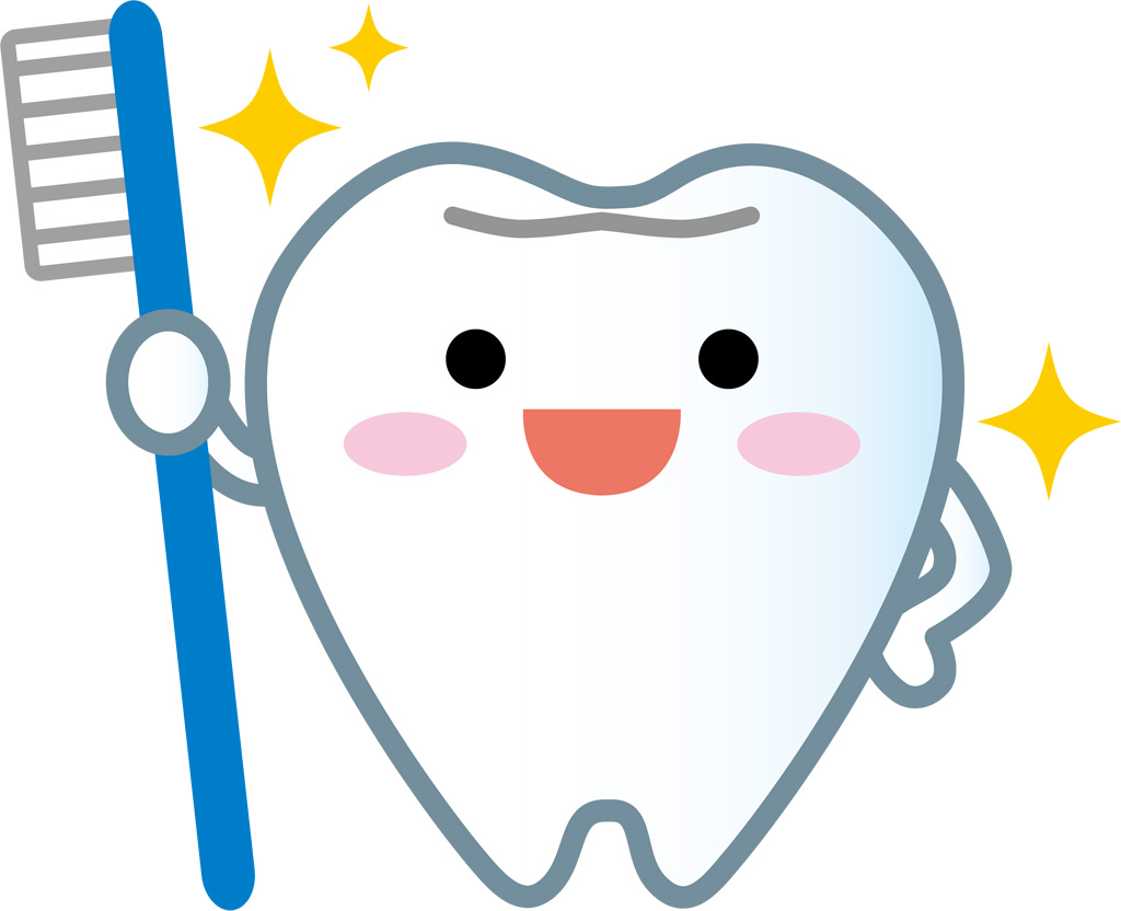 歯の豆知識 第37回 ホワイトニングは歯を強くするチャンス 歯の豆知識 岡山市のくれいし歯科クリニック